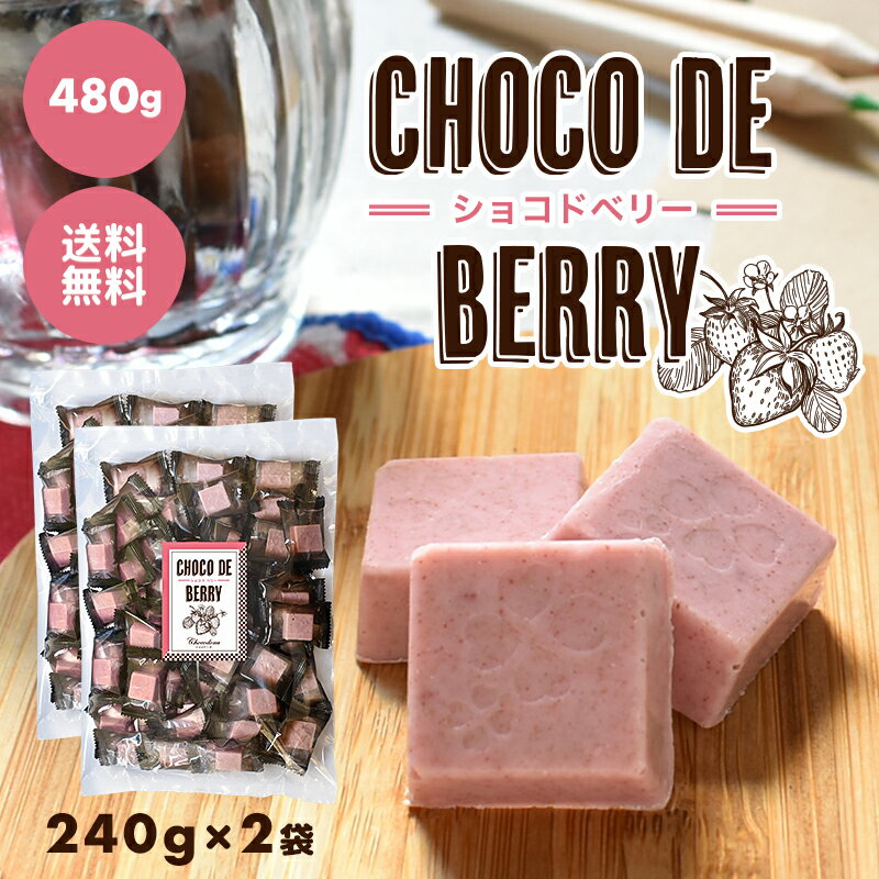 【choco de berry ショコドベリー 480g（2