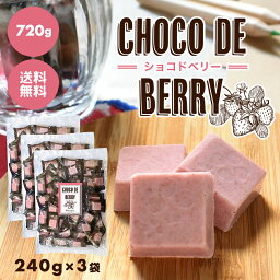 ショコドーネ フルーツチョコレート 【choco de berry ショコドベリー 720g（240g×3袋）】イチゴ チョコレート 苺 いちご 一口サイズ 送料無料 プチギフト 父の日 母の日