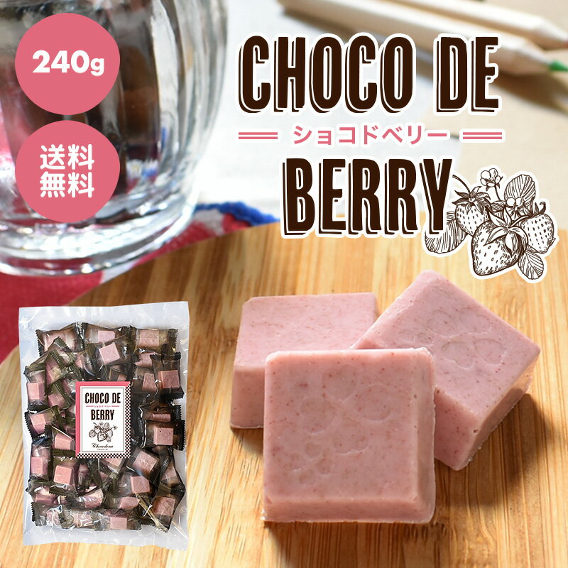 【choco de berry ショコドベリー 240g】イチゴ チョコレート 苺 いちご 一口サイズ 1000円ポッキリ 送料無料 ストロベリー チョコ クレープ プチギフト 父の日 母の日