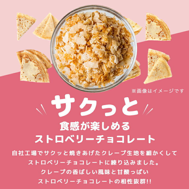 【choco de berry ショコドベリー 720g(240g×3袋)】イチゴ チョコレート 苺 いちご 一口サイズ 送料無料 プチギフト バレンタイン クリスマス