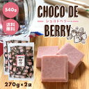 【choco de berry ショコドベリー 540g(270g×2袋)】イチゴ チョコレート 苺 いちご 一口サイズ 送料無料 プチギフト 母の日