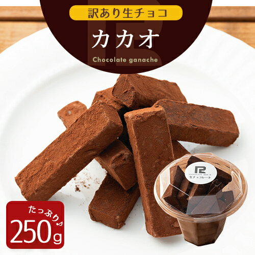 c 訳あり 生チョコレート カカオ 250g 北海道産 生ク