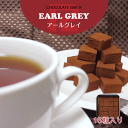 【送料無料】アールグレイ 生チョコレート 16粒入り ご自宅用パッケージ 母の日 プレゼント ギフト お歳暮 お年賀 スイーツ あす楽 お取り寄せ お菓子 洋菓...