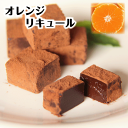 オレンジリキュール 生チョコレート 16粒入り ご自宅用パッケージ プレゼント スイーツ あす楽 お取り寄せ お菓子 洋菓子 食品 冷凍 グルメ プチギフト 手土産 アウトレット お試し 限定 生チョコ 通販 トリュフ 酒入り バレンタイン 2024