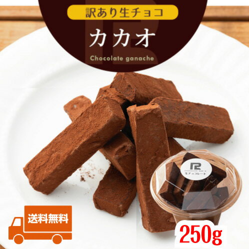 送料無料 生チョコレート 訳あり カカオ 250g あす楽 お取り寄せ スイーツ お菓子 洋菓子 食品 冷凍 グルメ プレゼント プチギフト 手土産 アウトレット 福袋 sale セール お試し 限定 詰め合わせ セット ボックス 大量 業務用 生チョコ 通販 トリュフ ハロウィン