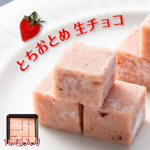 冬季限定 とちおとめ 生チョコレート ご自宅用パッケージ 16粒入り いちご 苺 イチゴ スイーツ お菓子 洋菓子 お取り寄せ クリスマス ギフト プレゼント