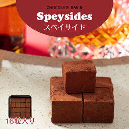 スペイサイドモルト ウィスキー 生チョコレート 16粒入り ご自宅用パッケージ プレゼント ギフト スイーツ あす楽 お取り寄せ お菓子 洋菓子 グルメ 手土産 アウトレット お試し 限定 通販 トリュフ ボンボン 酒入り＼母の日 プレゼント／