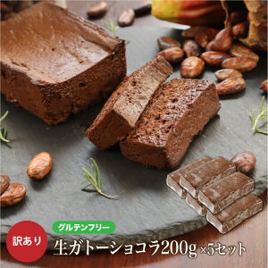 訳あり グルテンフリー 生ガトーショコラ1kg(200g×5本) チョコレート ケーキ スイーツ お菓子 洋菓子 わけあり 小麦粉不使用 大容量