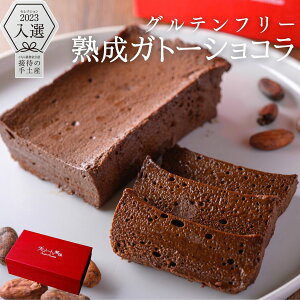 ガトーショコラ グルテンフリー スイーツ ギフト チョコレートケーキ チョコレート ケーキ 小麦粉不使用 送料無料 熟成ガトーショコラ テリーヌ250g お取り寄せ 高級 洋菓子 人気 プレゼント 誕生日