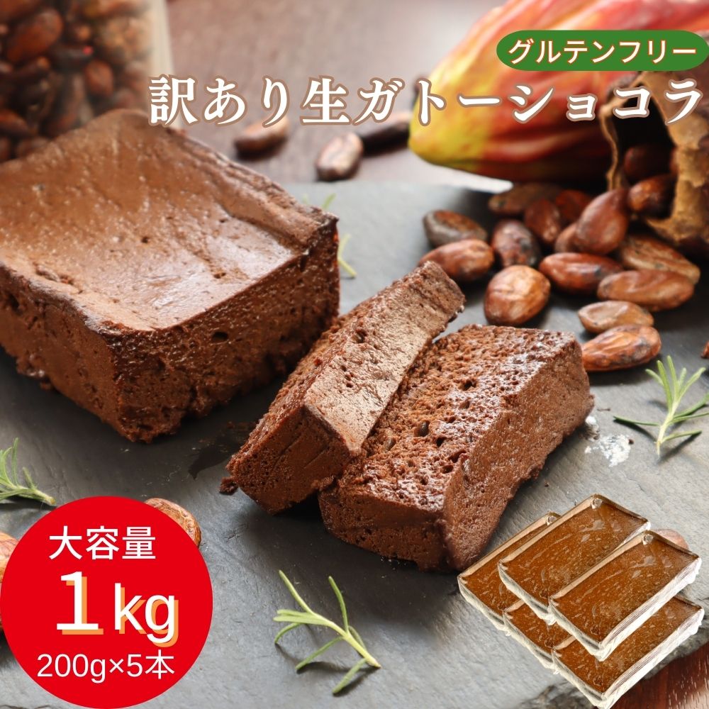 チョコレートケーキ ＼期間限定10%オフ／ 生 ガトーショコラ 訳あり グルテンフリー 1kg (200g×5本) チョコレートケーキ チョコレート ケーキ 大容量 お菓子 洋菓子 わけあり 小麦粉不使用 大容量 送料無料 お取り寄せ スイーツ 洋菓子 人気 冷凍