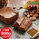 ガトーショコラ 生 グルテンフリー 訳あり 500g (250g×2本) チョコレートケーキ チョコレート ケーキ 大容量 お菓子 洋菓子 わけあり 小麦粉不使用 送料無料 お取り寄せ スイーツ 洋菓子 大人 人気 冷凍 バレンタイン ホワイトデー