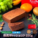 グルテンフリー 熟成 ガトーショコラ 65％ マイルド 75％ ビター 250g 送料無料 チョコレート ケーキ お取り寄せ スイーツ 高級 洋菓子 人気 ギフト プレゼント 誕生日 手土産 母の日