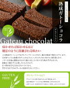 ホワイトデー お返し ガトーショコラ 3本 送料無料 熟成ガトーショコラ テリーヌ チョコレート ケーキ ギフト グルテンフリー 65％ マイルド 75％ ノワール 750g お取り寄せ スイーツ 高級 洋菓子 人気 プレゼント 誕生日 手土産 2