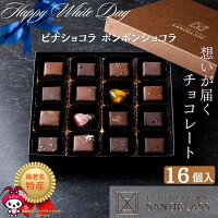 ボンボンショコラ ビナショコラ 16個入り チョコレート ギフト プレゼント 贈り物 記念日 詰め合わせ チョコ サンドグラス バレンタインデー ホワイトデー クリスマス 母の日 父の日 お歳暮 お中元 チョコレートセット