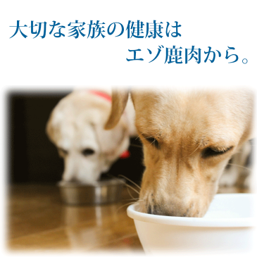 【エゾ鹿無添加ドッグフード 250g さつまいもバージョン】エゾ鹿 ドッグフード 犬 エゾシカ 鹿肉 シカ肉 シカニク ペットフード アレルギー対策 国産 北海道産 手作り 無添加 老犬 穀物不使用 穀物フリー 日本製