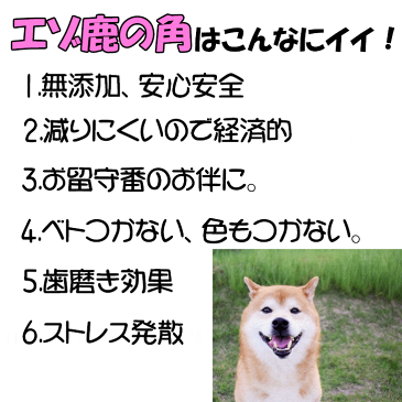 【ブリタニア　エゾ鹿の角S　半割り】ペット用 フード 鹿ツノ シカツノ 鹿角 しか角 しかつの 鹿の角 えぞ鹿 エゾ鹿 角 エゾシカ 蝦夷鹿 角 つの ツノ わんちゃん用 おやつ 犬用 犬 鹿 噛みごたえ 大好き おやつ 半割り 半割 半分 縦割り 縦割 しかづの おもちゃ ドッグ