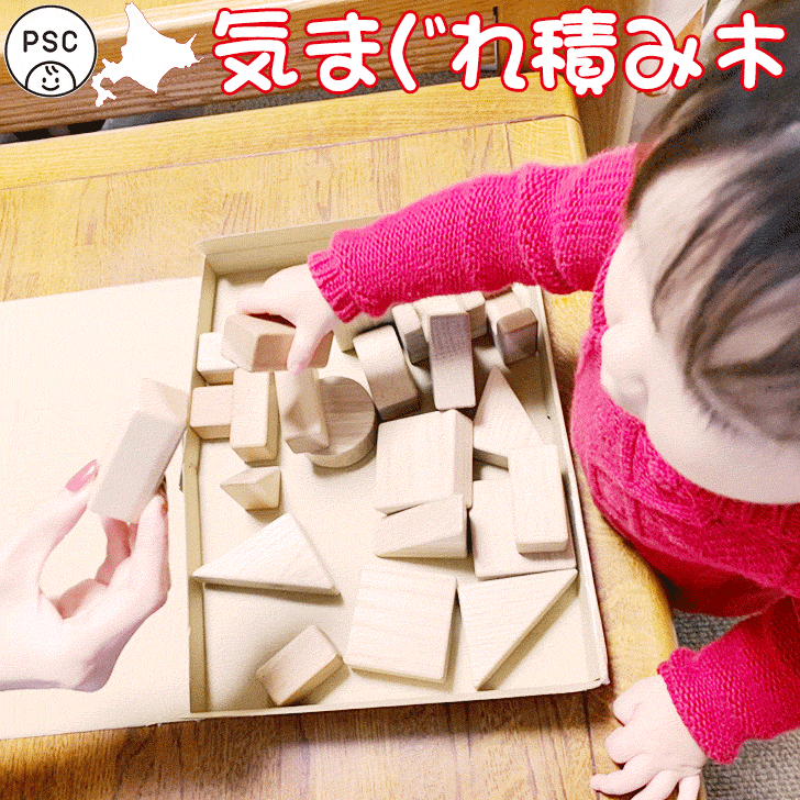 積み木 積木 つみき 日本製 木製 手作り積み木 知育玩具 木のおもちゃ おうち時間 PSC 子供 ベビー 3歳 誕生日 プレゼント 国産 赤ちゃん ブロック 贈り物 ギフト 安い お試し ツミキ 出