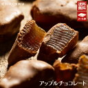 【送料無料】メール便 ネコポス配送 アップルチョコレート500g フルーツチョコレート りんごチョコ チョコレート チョコ クーベルチュール フルーツ ミルク 蜜漬け 訳あり ご褒美 贅沢 スイーツ お菓子 大容量 ホワイトデーの商品画像