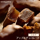 【夏季クール便配送】【12箱】ダークチョコレート まるごとブルーベリー 100g　メープルシロップ入【代引き不可】