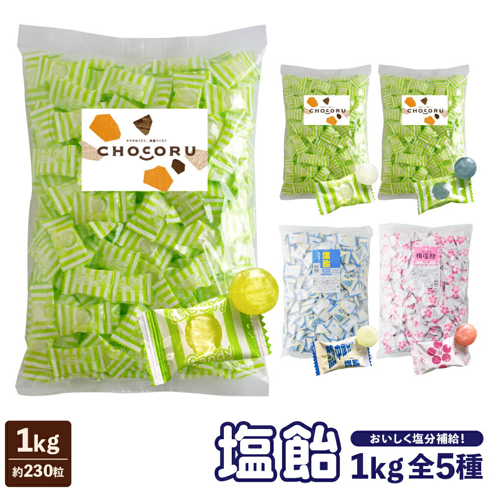 熱中症・夏バテ対策に！塩飴1kg 全5種（約230粒）塩飴 熱中症対策　塩分補給 レモン 梅 サイダー 塩あめ キャンディ 熱中飴 大容量 業務用 個包装 大袋 スポーツ お菓子 あす楽 大袋 ジム 部活 差し入れ クール便同梱不可