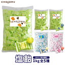 【常温便配送】熱中症・夏バテ対策に!塩飴1kg 全5種(約230粒) 塩飴 熱中症対策 塩分補給 レモン 梅 サイダー 塩あめ キャンディ 熱中飴 大容量 業務...