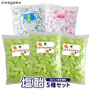 熱中症・夏バテ対策!まとめ買い 塩飴5種セット(約1150粒) 【 塩飴熱中症対策 塩分補給 レモン 梅 サイダー 塩あめ キャンディ 熱中飴 大袋 大容量 業務用 個包装 送料無料 】 沖縄 クエン酸 おすすめ