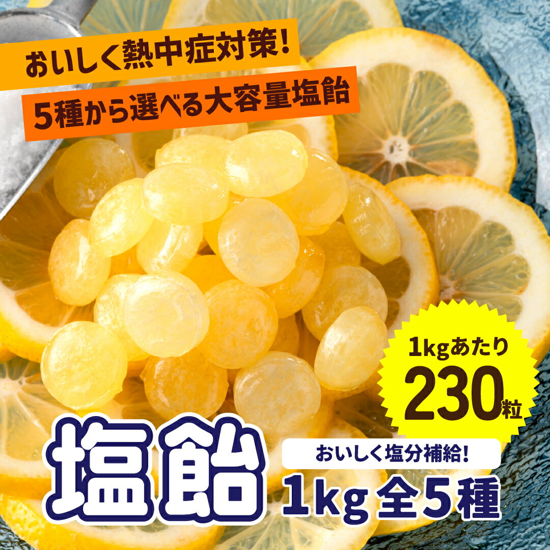 【常温便配送】熱中症・夏バテ対策に！塩飴1kg 全5種（約230粒） 塩飴 熱中症対策　塩分補給 レモン 梅 サイダー 塩あめ キャンディ 熱中飴 大容量 業務用 個包装 大袋 2