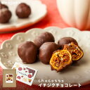 【クール便配送】chocotto イチジクチョコレート 80g フィグ フルーツチョコ ビターチ