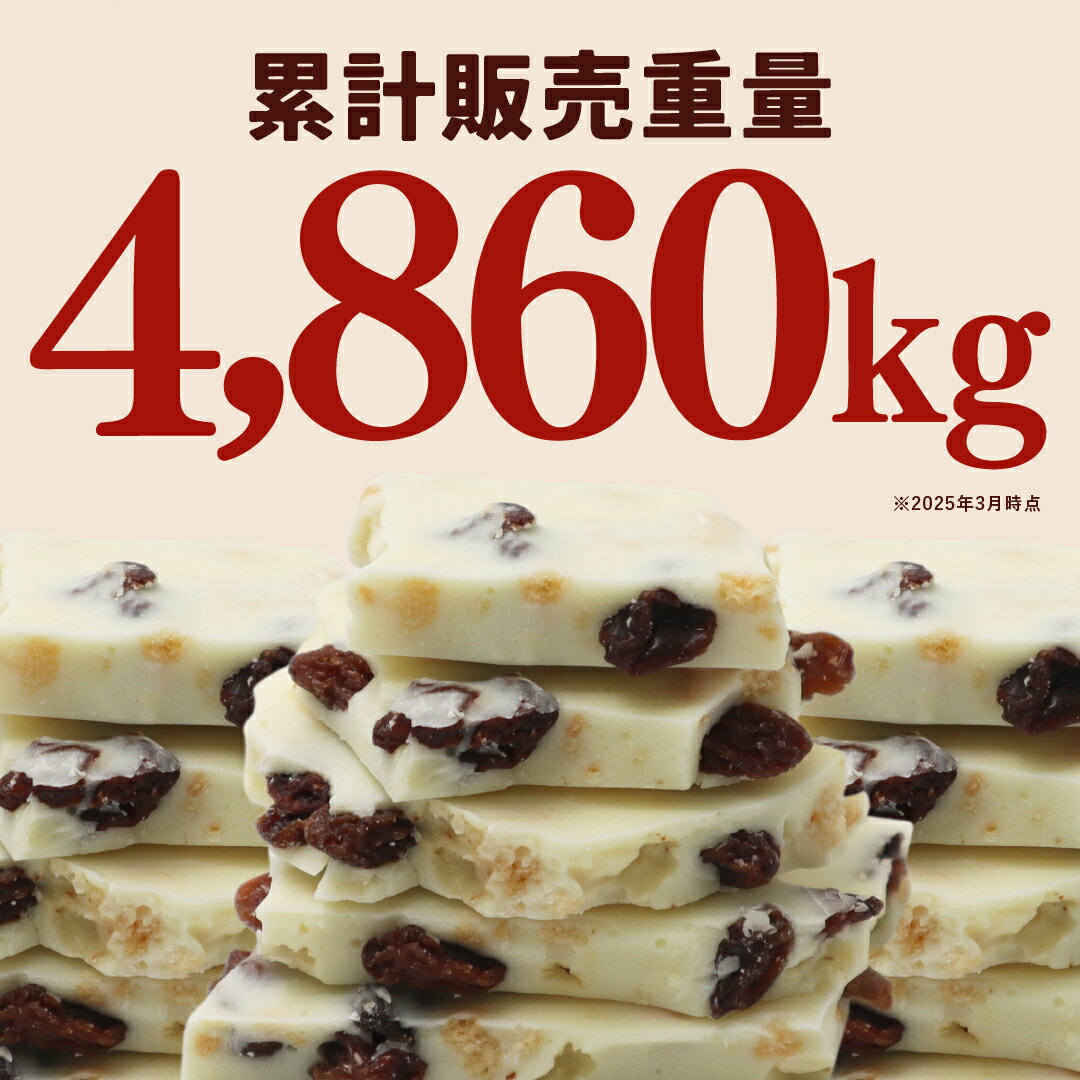 割れチョコ 妖艶なラムレーズン 450g 180g 訳あり チョコレート ラムレーズン ホワイトチョコ