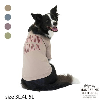 犬の服 犬 クール 防蚊 ドッグウェア ひんやり クールシャツ 服 春 夏 秋 大きいサイズ 中型犬 大型犬 MANDARINE BROTHERS/BASIC COOL T-SHIRT（3L,4L,5L）