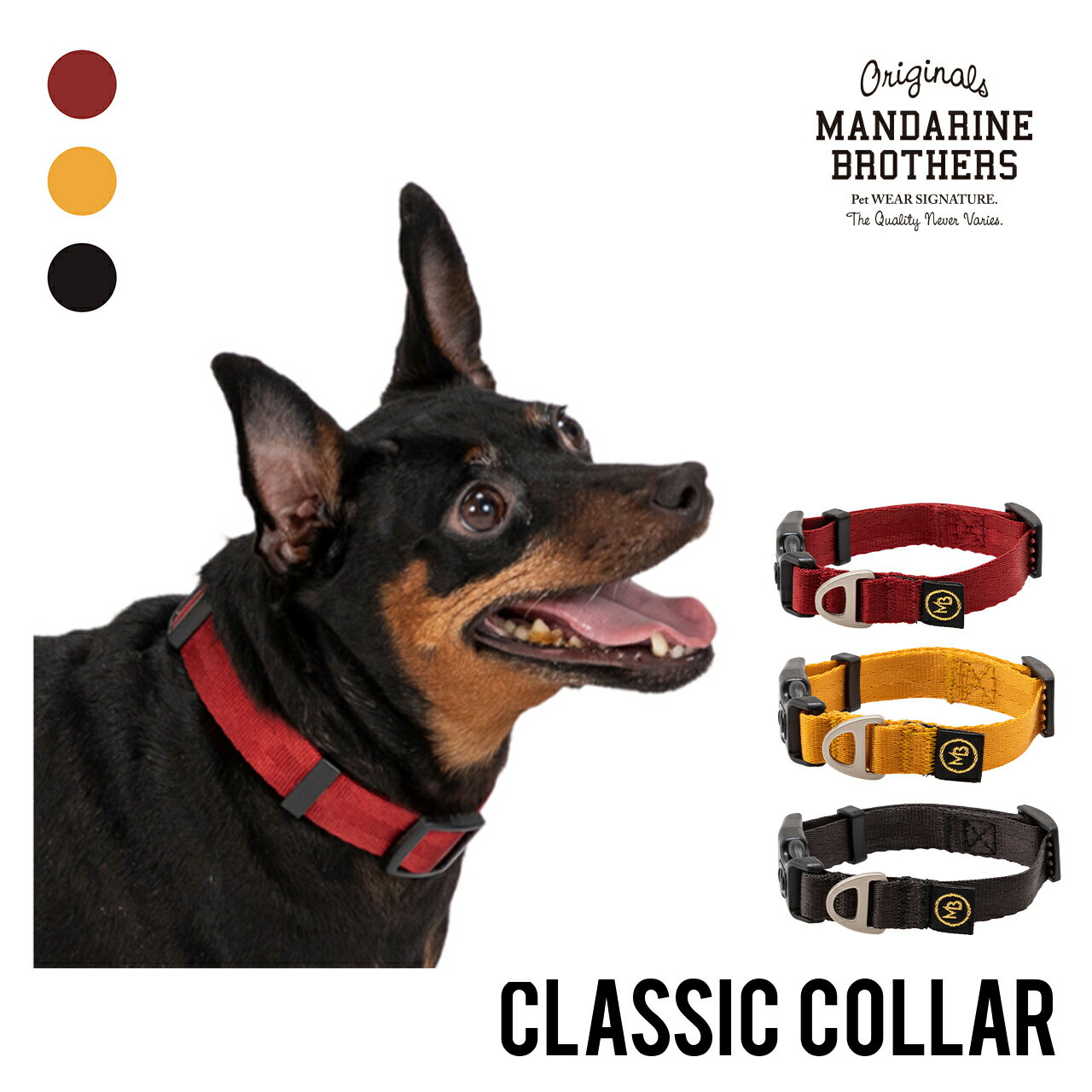 MANDARINEBROTHERS/CLASSICCOLLAR