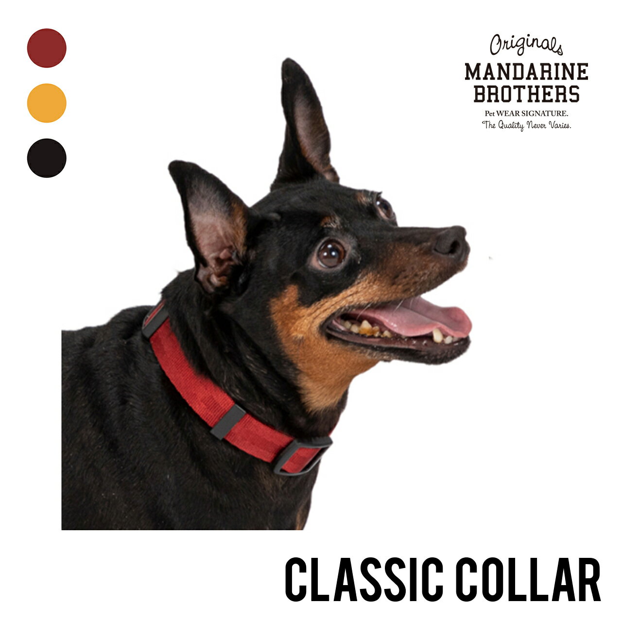 マンダリンブラザーズ 小型犬 中型犬 おしゃれ カラー リード シンプル MANDARINE BROTHERS / CLASSIC COLLAR