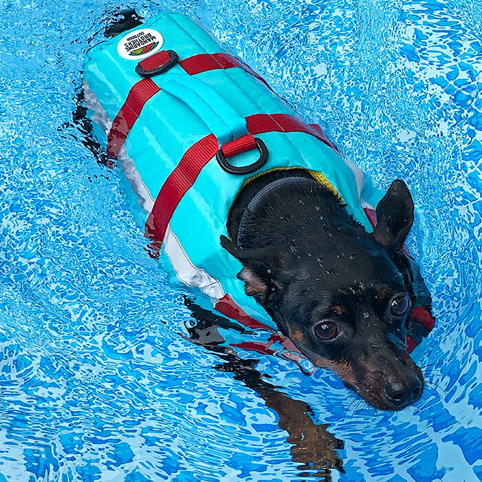 犬 ライフジャケット 送料無料 犬用ライフジャケット 川遊び おしゃれ MandarineBros.LifeJacket