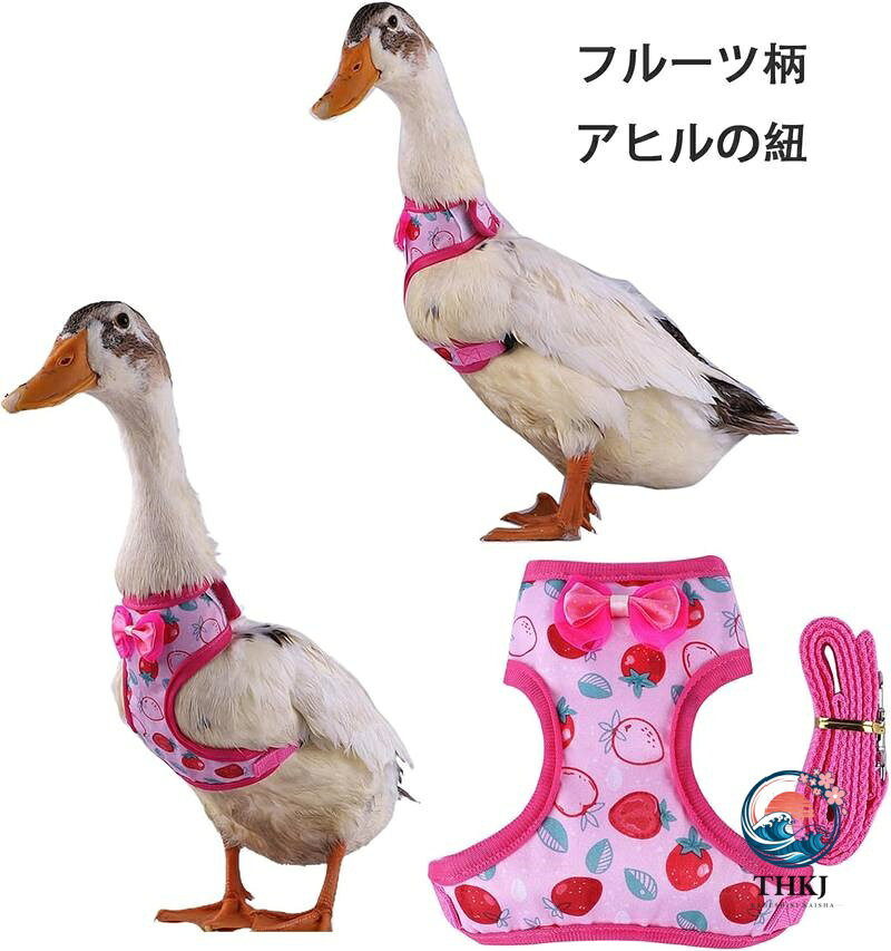 フルーツパターン アヒルを吸うための柔らかい 小さな動物 ハーネス ひも