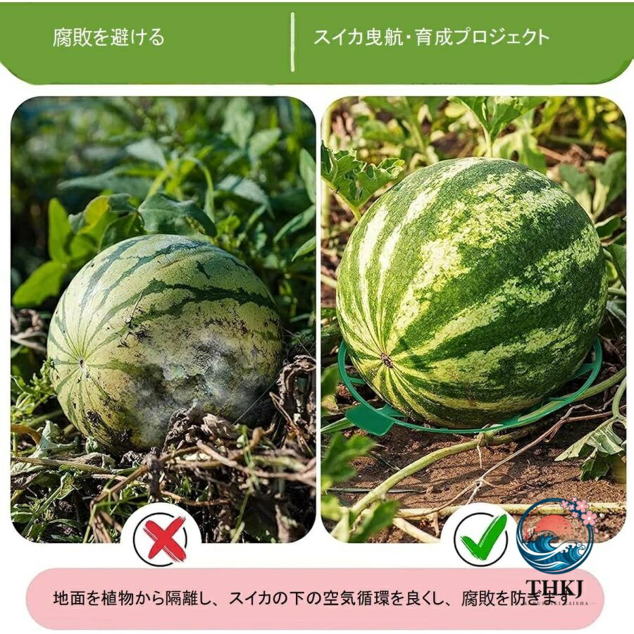スイカマット スイカマット 10/20/30個入り 園芸フレーム スイカサポート スイカマ...