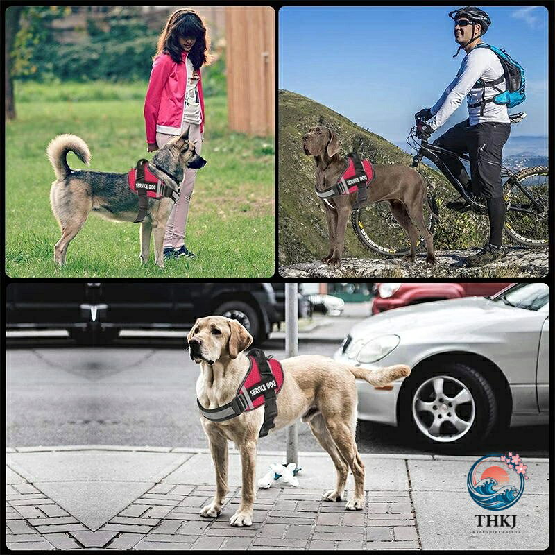 名入れ可能犬用ハーネス 簡単装着引っ張り防止 大小型犬通用通気性良し 散歩迷子防...