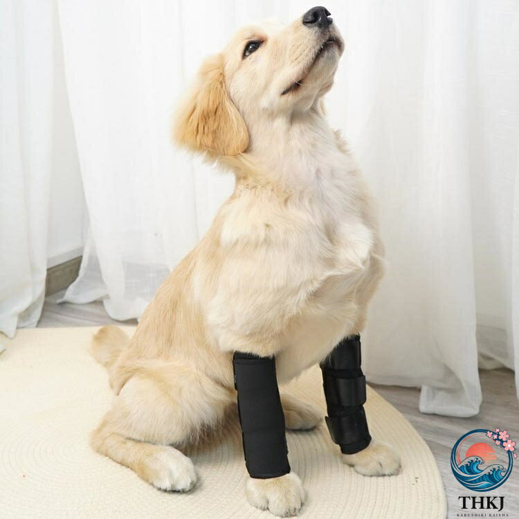 chocotto+(ちょこっとぷらす)の2 個セット 犬用膝サポーター 膝サポーター 犬 犬用 サポーター 関節サポーター 関節プロテクター 前足 介護 ペット サポート 犬用 膝 関節 膝 靭帯 脱臼 保護 プロテクター 保護用包帯 通気性 超軽量 手術怪我固定 足 無力感 補助 傷口保護 舐め防止｜アングル2