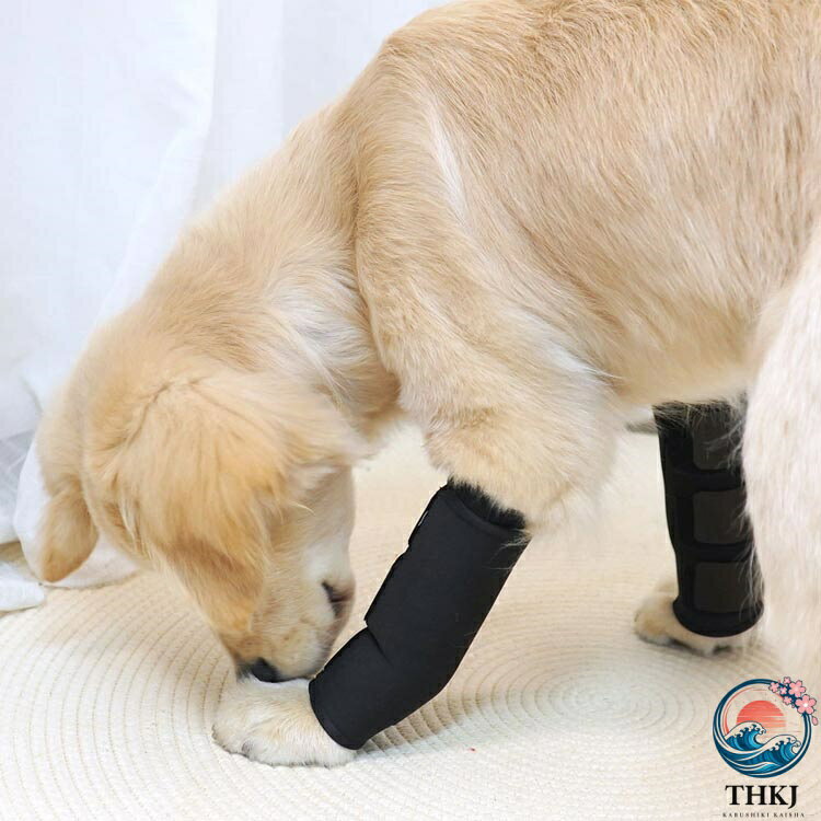 chocotto+(ちょこっとぷらす)の2 個セット 犬用膝サポーター 膝サポーター 犬 犬用 サポーター 関節サポーター 関節プロテクター 前足 介護 ペット サポート 犬用 膝 関節 膝 靭帯 脱臼 保護 プロテクター 保護用包帯 通気性 超軽量 手術怪我固定 足 無力感 補助 傷口保護 舐め防止｜アングル3