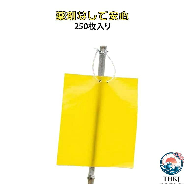 強力粘着×無毒設計で安心の害虫対策の虫取り粘着シート。黄色カラーで虫を引き寄せ、強力な両面粘着でしっかり捕獲する虫取りシート、コバエやハエ、アブラムシなどの害虫対策に効果的で、置くだけで簡単に使える。薬剤不使用の無毒タイプだから、小さなお子様やペットがいる環境でも安心、室内・屋外どちらでも使用可能。家庭菜園や畑、田んぼ、ガーデニングなど幅広いシーンで活躍し、作物を守るための必須アイテム。たっぷり使える250枚セットでコスパ抜群、まとめて設置できるので効率よく害虫対策ができる。簡単設置で手軽に使える、安心・便利な粘着式捕虫シート。 サイズ 250枚セット サイズについての説明 F　10*15cm※サイズ表の実寸法は商品によって1-3cm程度の誤差がある場合がございます。 素材 色 イエロー 備考 ●サイズ詳細等の測り方はスタッフ間で統一、徹底はしておりますが、実寸は商品によって若干の誤差(1cm〜3cm )がある場合がございますので、予めご了承ください。 ●製造ロットにより、細部形状の違いや、同色でも色味に多少の誤差が生じます。 ●パッケージは改良のため予告なく仕様を変更する場合があります。 ▼商品の色は、撮影時の光や、お客様のモニターの色具合などにより、実際の商品と異なる場合がございます。あらかじめ、ご了承ください。 ▼生地の特性上、やや匂いが強く感じられるものもございます。数日のご使用や陰干しなどで気になる匂いはほとんど感じられなくなります。 ▼同じ商品でも生産時期により形やサイズ、カラーに多少の誤差が生じる場合もございます。 ▼他店舗でも在庫を共有して販売をしている為、受注後欠品となる場合もございます。予め、ご了承お願い申し上げます。 ▼出荷前に全て検品を行っておりますが、万が一商品に不具合があった場合は、お問い合わせフォームまたはメールよりご連絡頂けます様お願い申し上げます。速やかに対応致しますのでご安心ください。