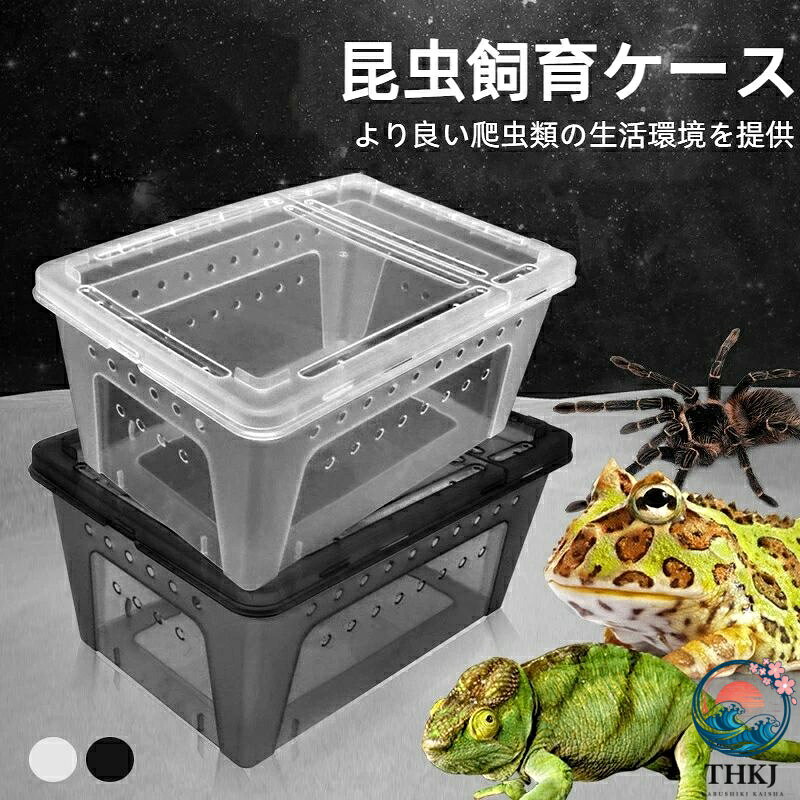 【全品2点で5%OFF】昆虫飼育ケース 爬虫類飼育ケース 小型 コンテナ ボックス 空気穴付き 昆虫 小動物 卵 幼虫 繁殖 多種多様な爬虫類に対応