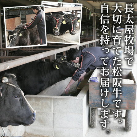 松阪牛とうがらし焼肉【700g】の紹介画像3