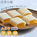白雪の梅 徳用 大容量 和菓子 スイーツ お菓子 プレゼント お土産 グルメ 山形 梅 うめ ようかん 羊羹 おやつ 餅 高級 ギフト 銘菓 老舗 お茶菓子 お...