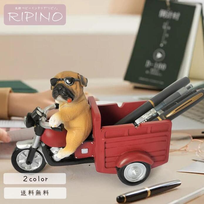 ڥΩ  ޯ 襤 İ ڥ󤿤 ɮΩ ⥳󥹥 ᥬͥ   Ǽ ʪ ǥ ƥꥢ ̲ ʥ...