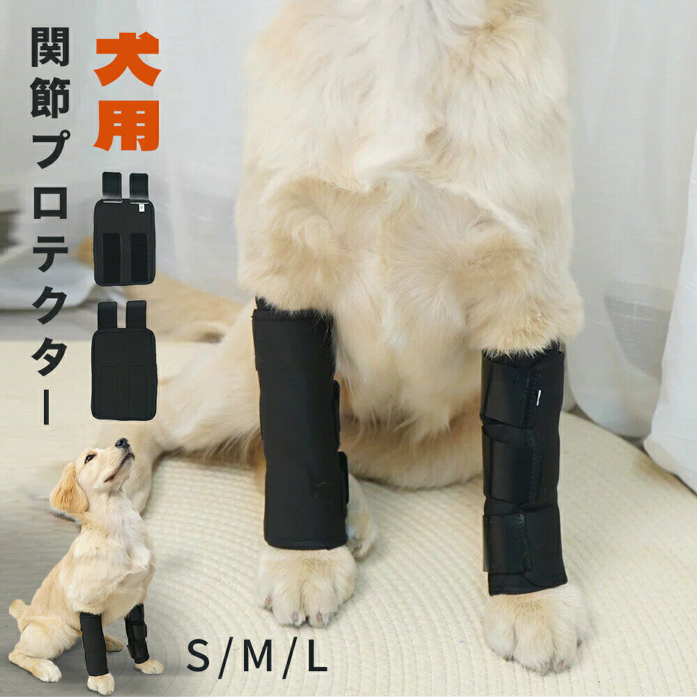 犬 サポーター 前足 関節 中型犬 大型犬用 犬 リハビリ 犬用関節プロテクター 犬介護 老犬介護 犬用膝サポーター 犬 サポーター 犬 足カバー 前足 犬 プロテクター 可愛い 通気性 犬 肘 けが 関節炎 術後保護 関節保護 傷舐め防止
