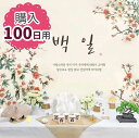 【レンタルではない購入品】100日祝い セルフぺギルチャンチ飾りつけセット〈販売品・豪華51点セット〉【古典風 木蓮の香】■kounyuu-bae-6-sペギル...