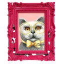 \P2倍+クーポン/ オイル ペイント アート マダムキャット ペンキ デコフレーム シリーズ OP-05811 送料無料 キャット ネコ 猫 動物 壁掛け 置...