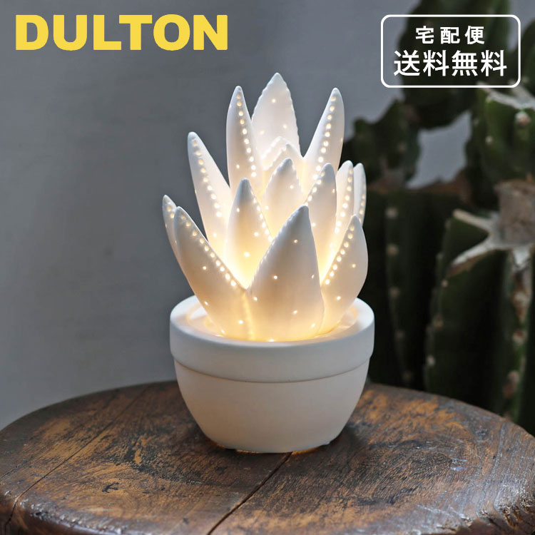 ダルトンポーセリンアロエライトマッ...