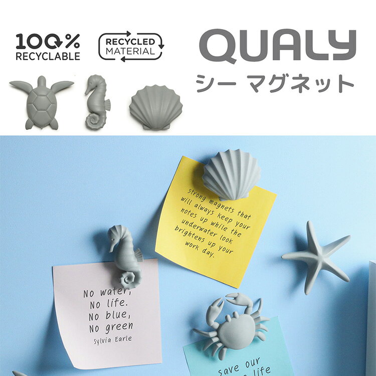 CHOICEの定形外送料無料 Qualy シーマグネット 5個セット 磁石 マグネット 冷蔵庫 亀 ヒトデ カニ タツノオトシゴ 貝 海の生き物｜アングル2