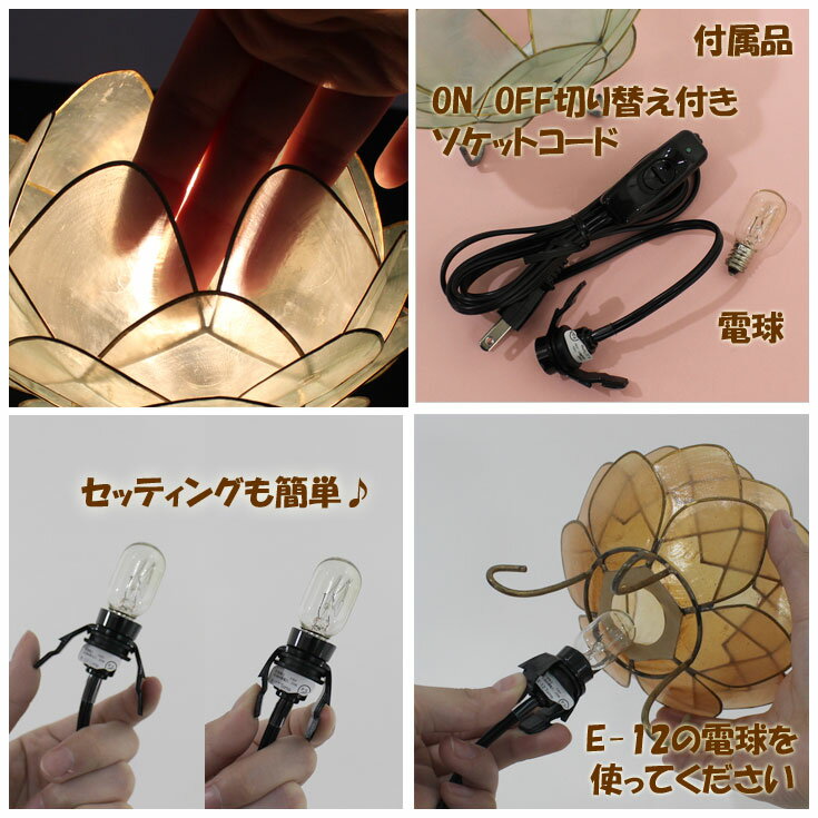 トモ カピス ロータス ランプ Lサイズ 35...の紹介画像3