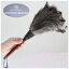 ̵ REDECKER ǥå ȥå ե 35cm 05-042(ot) Ϥ 祦 902-732OSTRICH FEATHER DUSTER